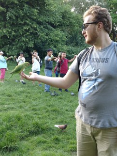 img_20180602_194521891