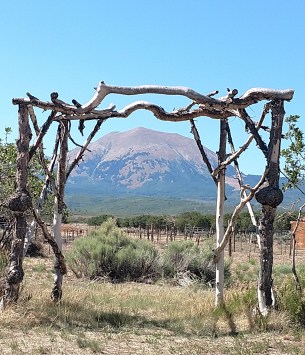 img_20180624_161005564