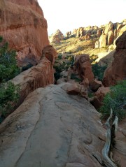 img_20180628_064313561_hdr