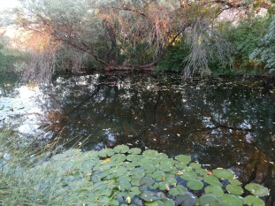 img_20180626_202236749