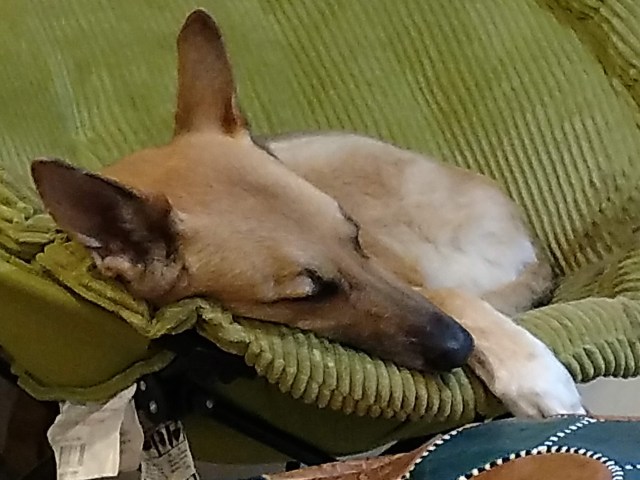 img_20181118_135146223