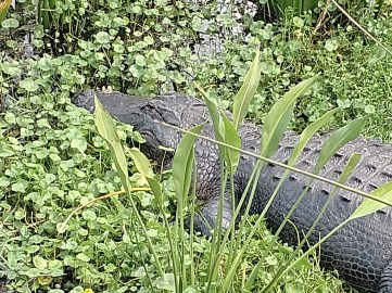 IMG_20181227_125231846