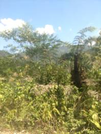 IMG_20190325_101231589