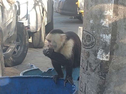 img_20190327_071832513